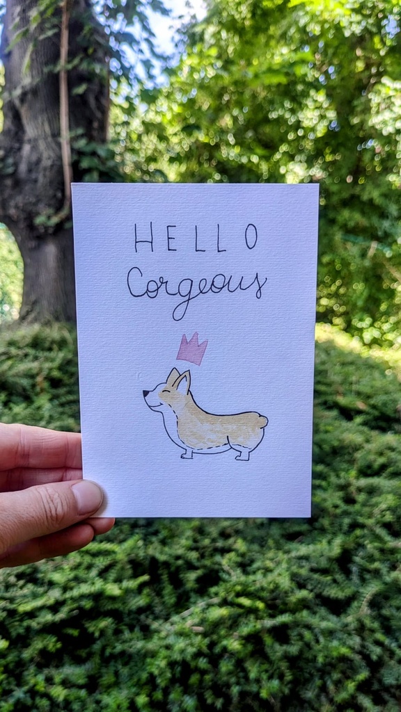 Corgeous👑 